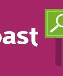 Yoast WordPress SEO Premium