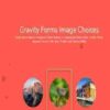 Jetsloth Gravity Forms Image Choices 1.6.10
