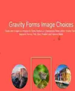 Jetsloth Gravity Forms Image Choices 1.6.16