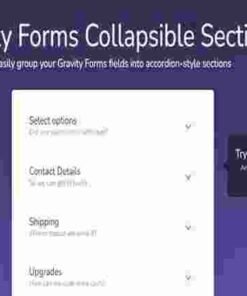 Jetsloth Gravity Forms Collapsible Sections Addon GPL 1.4.6