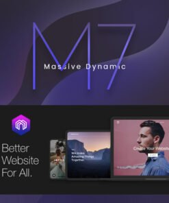 Massive Dynamic WordPress Website Builder