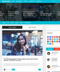 MyThemeShop BloggingBox WordPress Theme