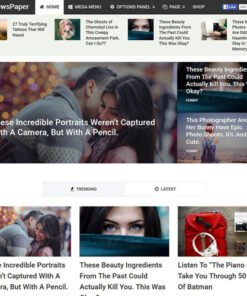 MyThemeShop Newspaper WordPress Theme