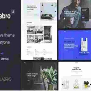 Norebro Theme GPL Creative Portfolio Theme for Multipurpose Usage