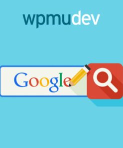 WPMU DEV Custom Google Search