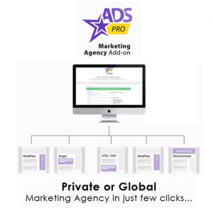Ads Pro Add-on – WordPress Marketing Agency