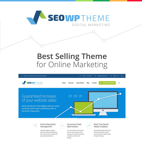 SEOWP Online Marketing & Social Media Agency