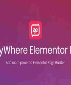 AnyWhere Elementor Pro WordPress