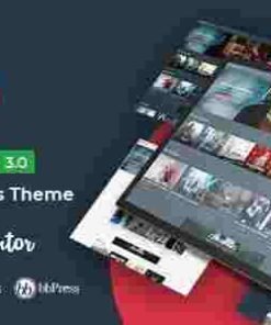 Betube Video WordPress Theme GPL