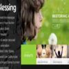 Blessing Theme GPL Responsive WordPress Theme for Church Websites