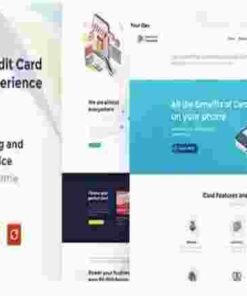 Credit Card Experience Theme GPL Loan Company and Online Banking WordPress Theme