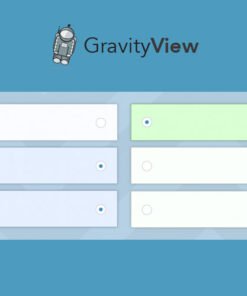 GravityView – Entry Revisions