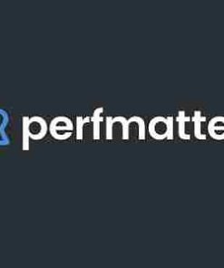 Perfmatters Lightweight WordPress Performance Plugin