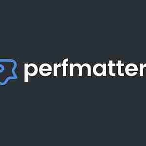 Perfmatters Lightweight WordPress Performance Plugin