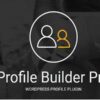 Profile Builder Pro GPL 3.13.7 WP Profile Plugin + Addons Latest Version 2 Profile Builder Pro