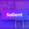 Salient Responsive Multi-Purpose Theme Gpl