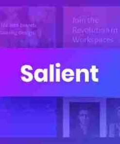 Salient Responsive Multi-Purpose Theme Gpl