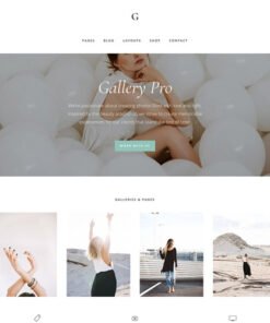 StudioPress Gallery Pro Genesis WordPress Theme