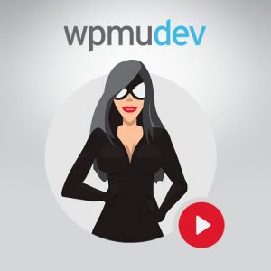 WPMU DEV Site Categories