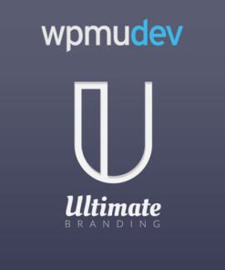 WPMU DEV Subscribe by Email