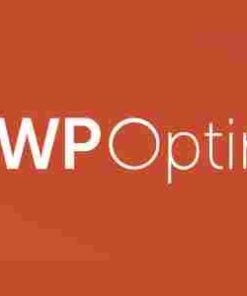 WP Optimize Premium