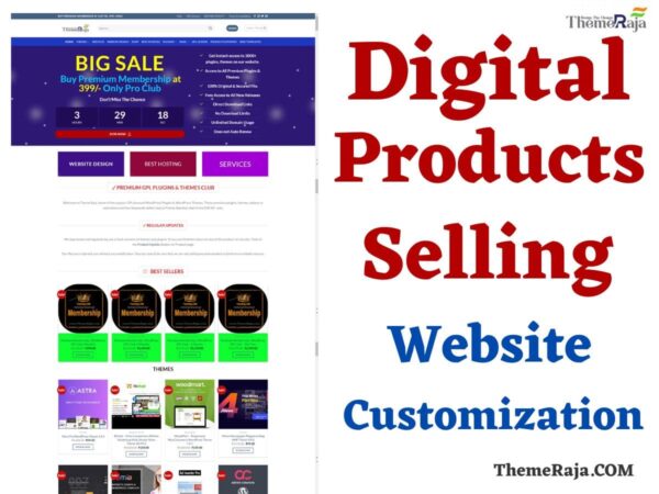 Digital Products Selling Websites Design Template WordPress Theme Customization