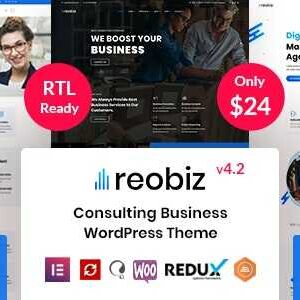 Reobiz Theme GPL Consulting Business WordPress Websites Testing Purpose