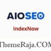 AIOSEO IndexNow Addon GPL 1.0.12 Plugin 1 AIOSEO IndexNow Addon GPL Plugin