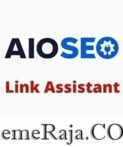 AIOSEO Link Assistant Addon GPL Plugin