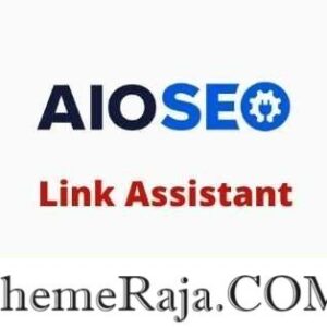 AIOSEO Link Assistant Addon GPL Plugin