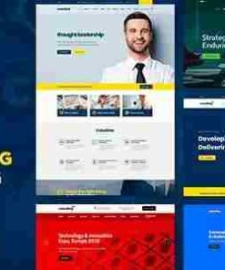 Consulting Theme GPL – Business, Finance WordPress Websites