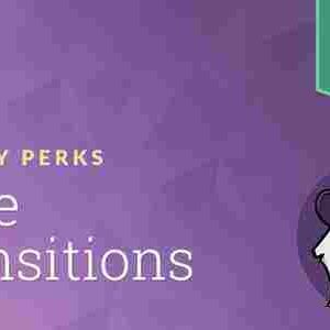 Gravity Perks Page Transitions Addon GPL Plugin