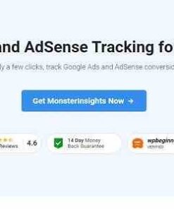 MonsterInsights Ads Tracking Addon GPL Pro Plugin