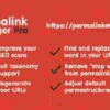 Permalink Manager Pro GPL 2.5.1.3 Plugin 2 Permalink Manager Pro GPL Plugin
