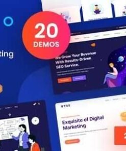 Ryse Theme GPL SEO & Digital Marketing Theme
