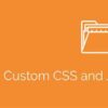 Simple Custom CSS and JS PRO GPL Plugin