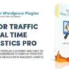 Visitor Traffic Real Time Statistics Pro GPL Plugin