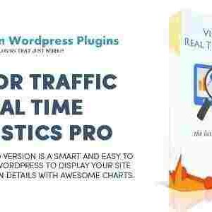 Visitor Traffic Real Time Statistics Pro GPL Plugin
