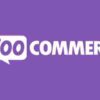 WooCommerce Order Status Manager GPL 1.15.6 Plugin 2 WooCommerce Order Status Manager GPL Plugin