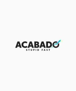 Acabado Income School World’s Fastest Theme