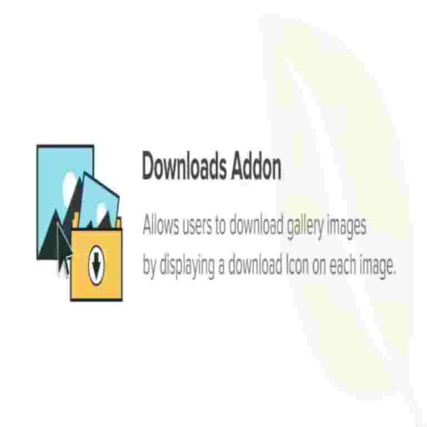 Envira Gallery Downloads Addon GPL Plugin