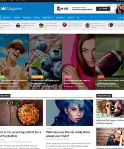Herald News Portal & Magazine WordPress Theme
