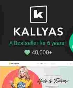 KALLYAS Theme GPL Creative eCommerce Multi-Purpose WordPress Websites