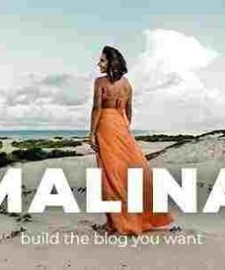 Malina Theme GPL Pro Download – Personal WordPress Blog Theme