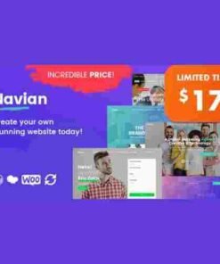 Navian Multi-Purpose Responsive WordPress Theme