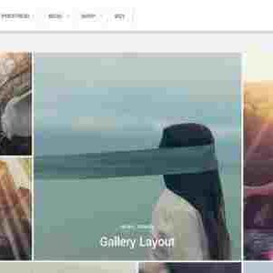 WordPress 50 Pro Plugins Premium 7 Themify Peak WordPress Theme GPL