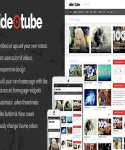 VideoTube A Responsive Video WordPress Theme