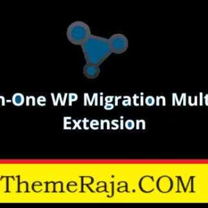 All In One WP Migration Multisite Extension