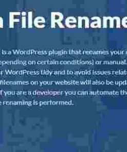 Media File Renamer Pro GPL Plugin