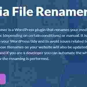Media File Renamer Pro GPL Plugin